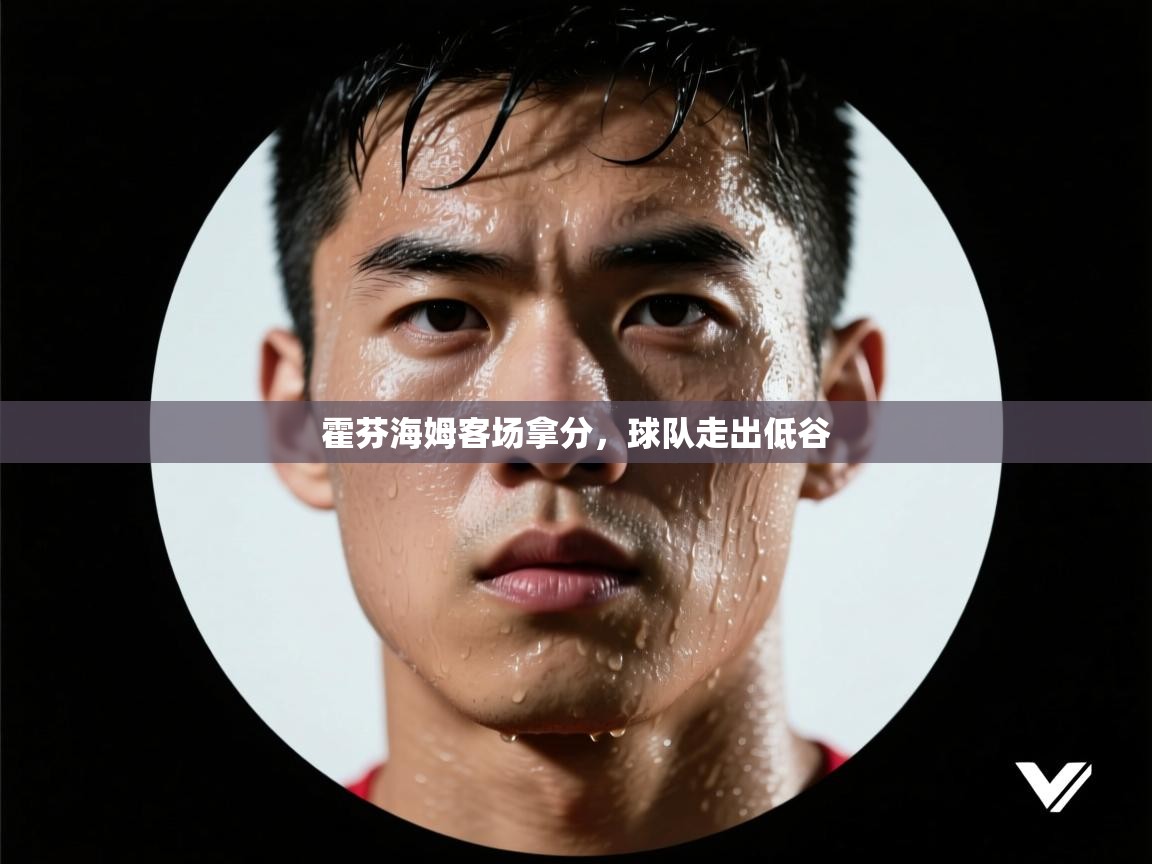 霍芬海姆客场拿分，球队走出低谷  第1张